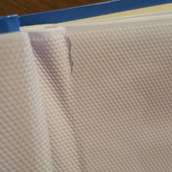 🏵️Flower photo album🏵️ - Picture 9 of 10